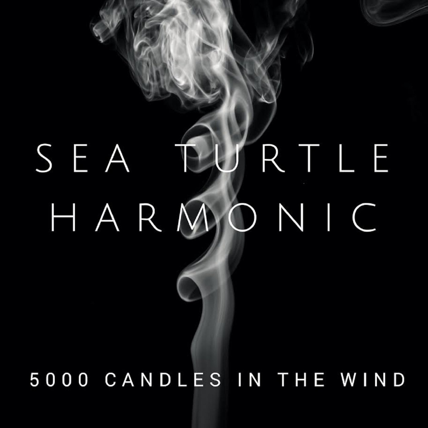 Sea Turtle Harmonic