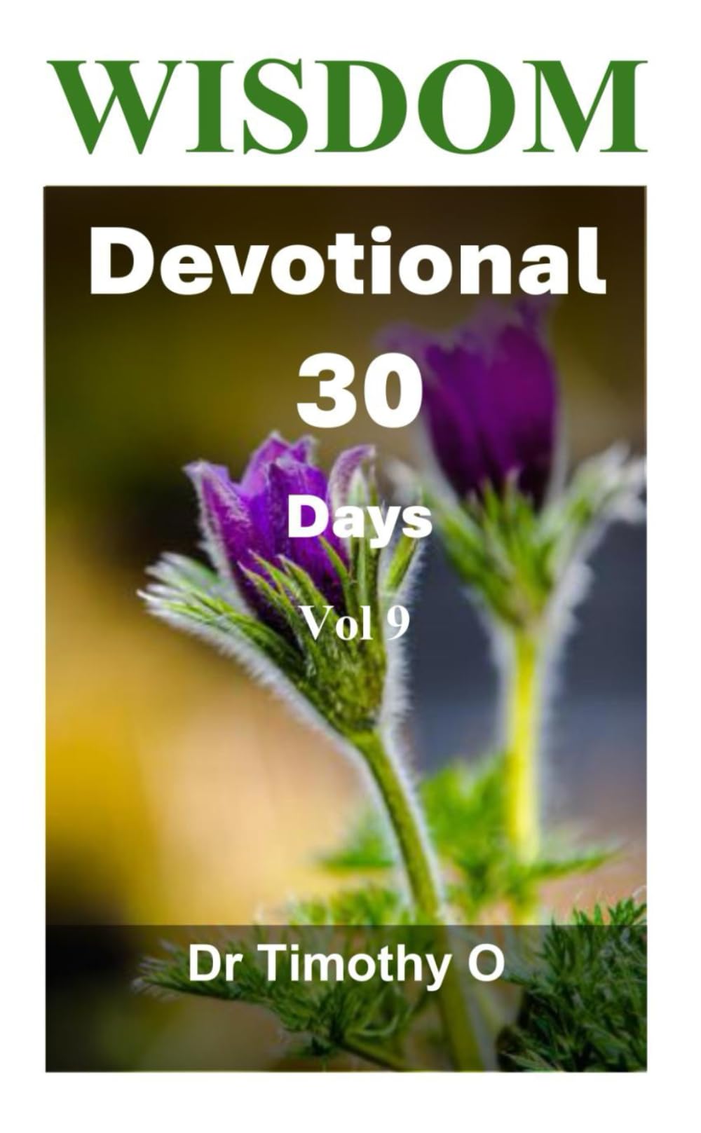 Wisdom Devotional 30 Days Vol 9: Wisdom Devotional Series (Timeless Wisdom)
