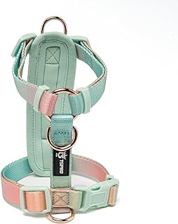 TSPRO Dog Harness, Medium Dogs, No Pull Dog Harness, Lightweight Adjustable, Gradient Colour Harness for Dogs with Quick Release, Breathable and Durable (Yellow Green, Size 2) product image