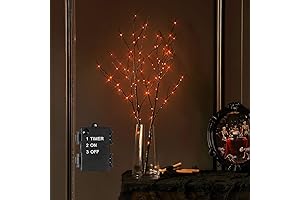 LITBLOOM Halloween Tree Branch Lights: Battery-Powered Autumnal Ambiance
