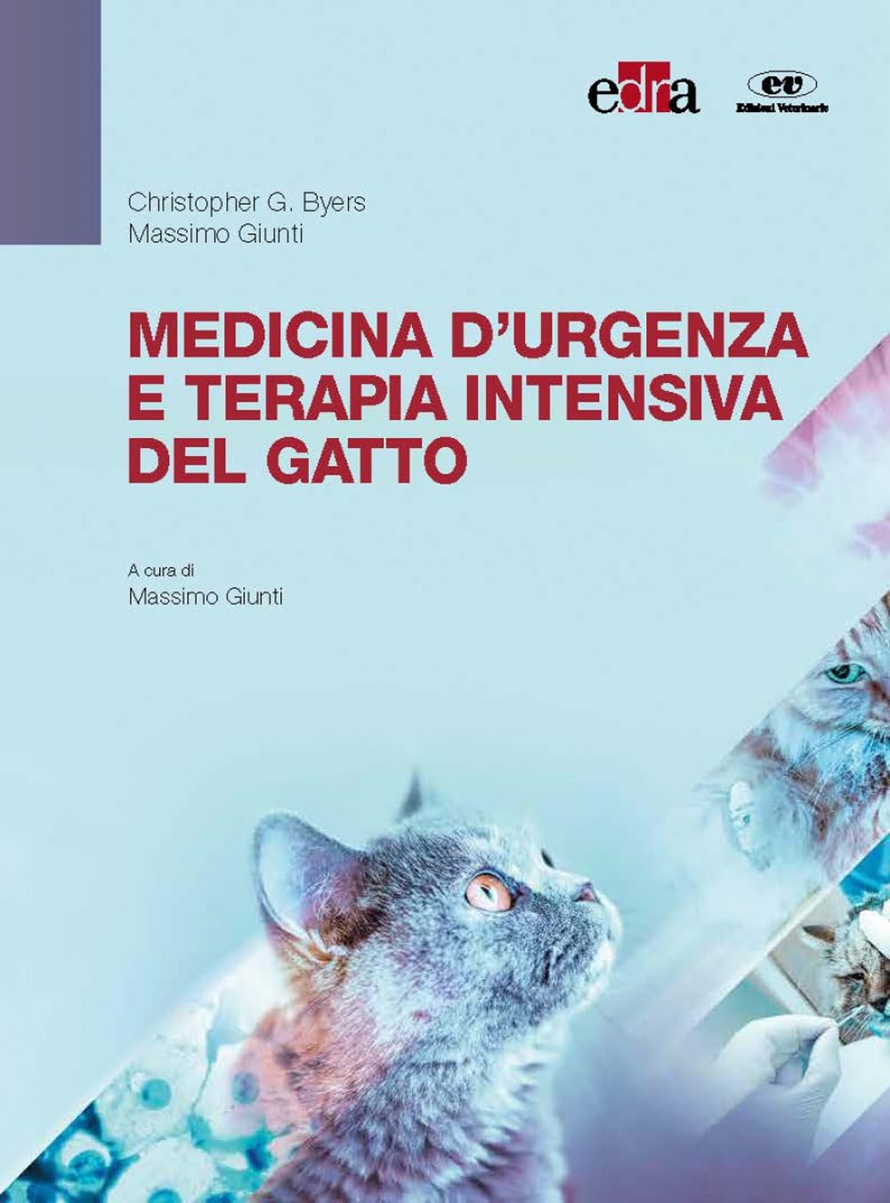 Medicina D’Urgenza E Terapia Intensiva Felina - 4