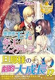 異世界王子の年上シンデレラ (レジーナブックス)