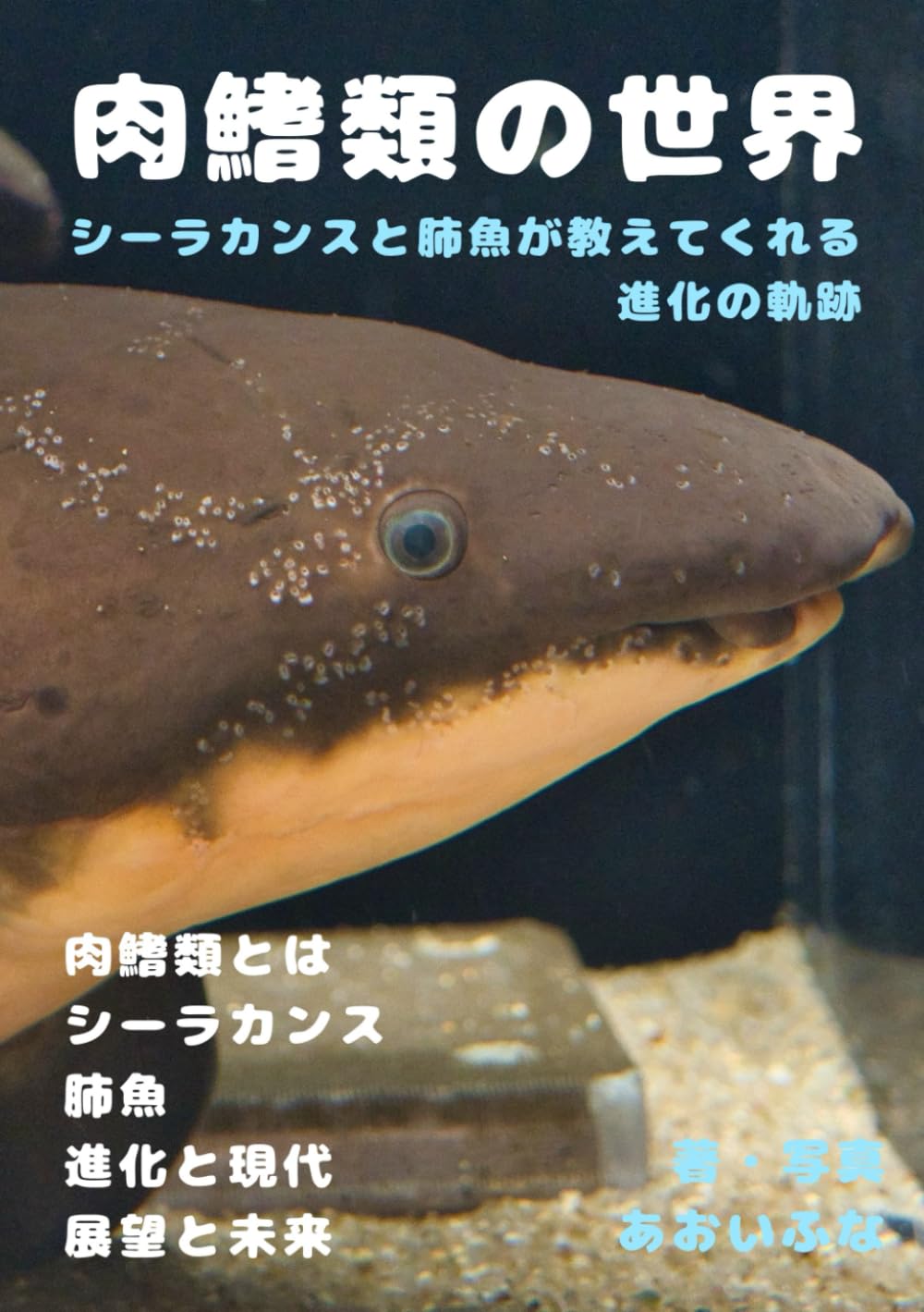 肉鰭類の世界 シーラカンスと肺魚が教えてくれる進化の軌跡 (魚解説シリーズ) あおいふな 本 通販 Amazon