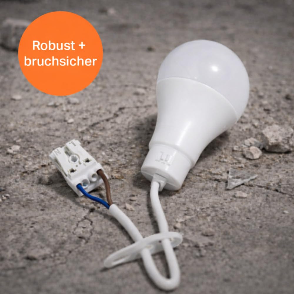NCC-Licht 10 x lampa LED do renowacji 10 W, CCT regulowana barwa światła, wytrzymała obudowa z żarówką i zaciskiem wtykowym, oświetlenie robocze na strych i piwnicy