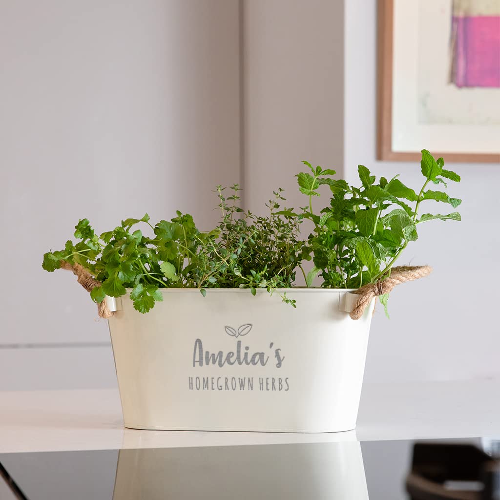 View 3