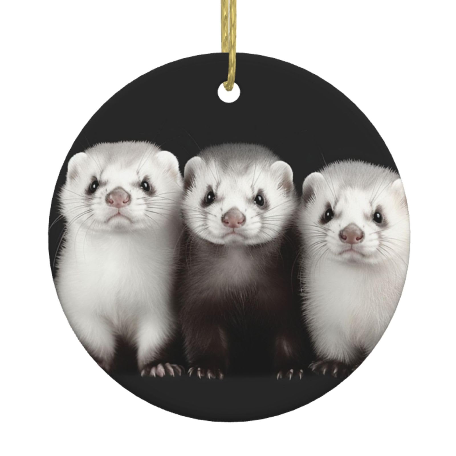 Fodpand Women's White Ferrets Christmas Ornaments 2025, Gift Exchange For Men, Collectible Ceramic Ornament Round Hanging Ornaments For Christmas Tree Decoration