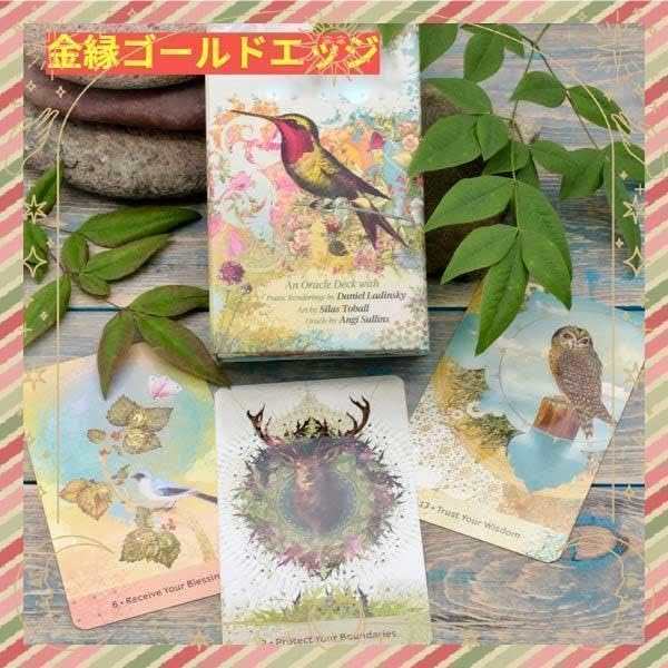 【正規品オラクルカード】海外美麗デッキ✨古代の知恵オラクル ゴールドエッジ 金縁 Amazon.co.jp: カード海外曰本版未古代の知恵オラクル ゴールド