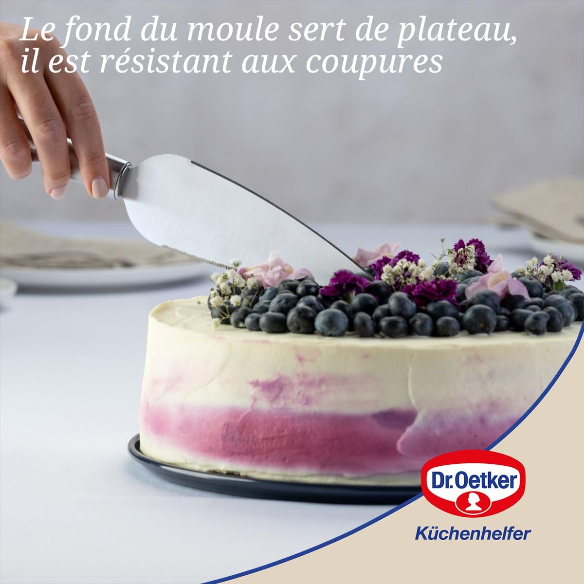 Dr.Oetker 1100 Moule à manqué à charnière de 26 cm étanche, Moule à charnière Fond en émail renforcé, Acier, Email, Bleu, 26 cm
