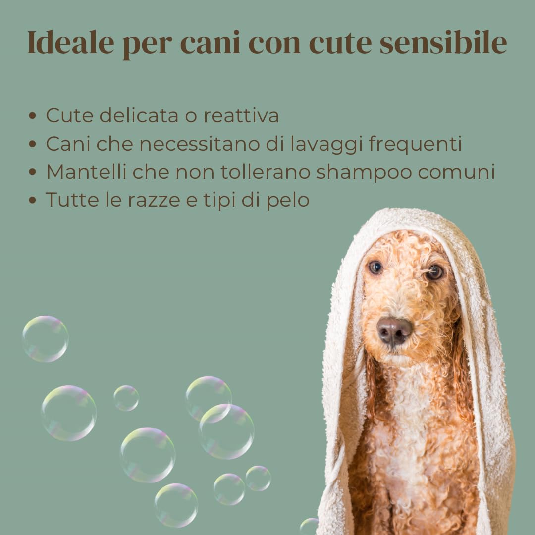 MicroBalance Vet - Shampoo per Cani con Dermatite Desquamativa - Per Cute con Sovrainfezione, Prurito e Cattivo Odore - Senza Alcol, Clorexidina, SLS/SLES e Siliconi - Per Tutte le Razze - 250ml