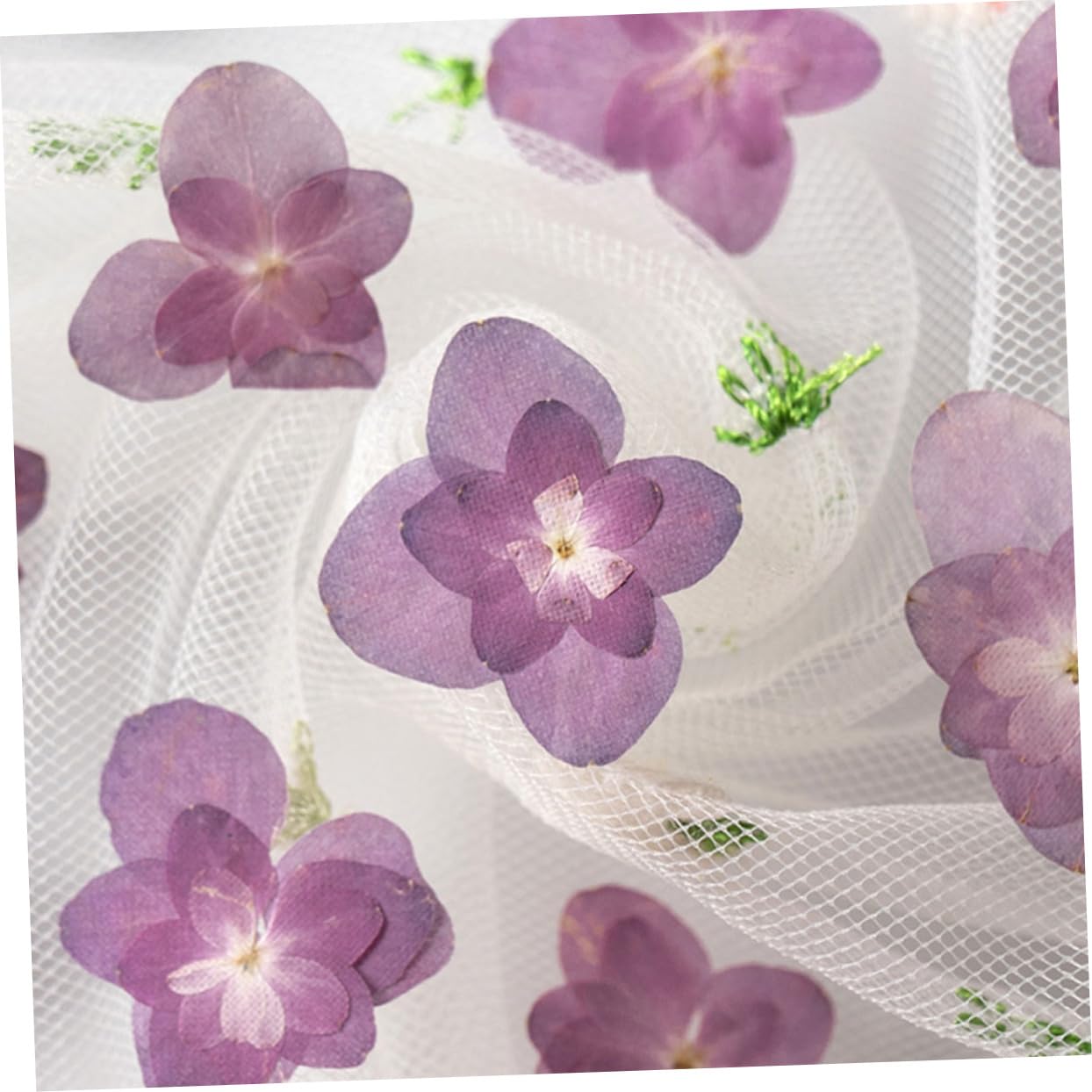 STOBAZA 150pièces Séchées Pressées pour Dried Flowers pour Décoration De Mariage Scrapbooking Et Création De Bijoux
