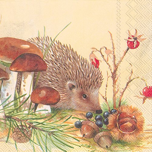 Tovaglioli Ihr Lunch 33 x 33 cm riccio autunno