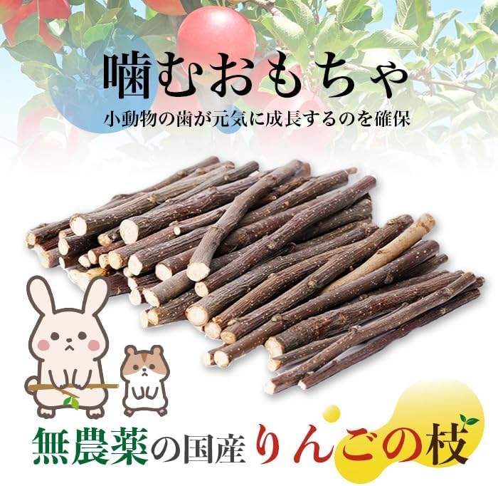 Amazon.co.jp: 国産 りんごの枝 100g 無添加 無農薬 うさぎ ハムスター