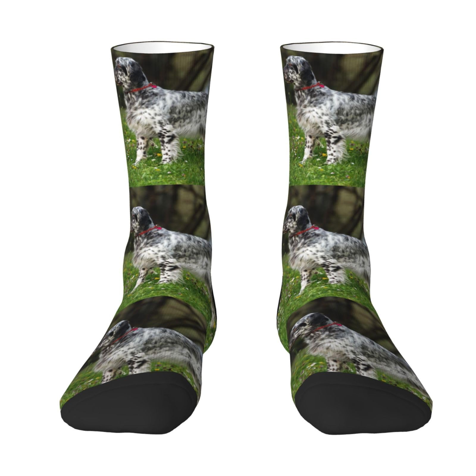 Yandm Unisex As Picture English Setter Lawn Pets Dogs English Setter, Crew Socks Compression Socks Casual Novelty Sports Socks For