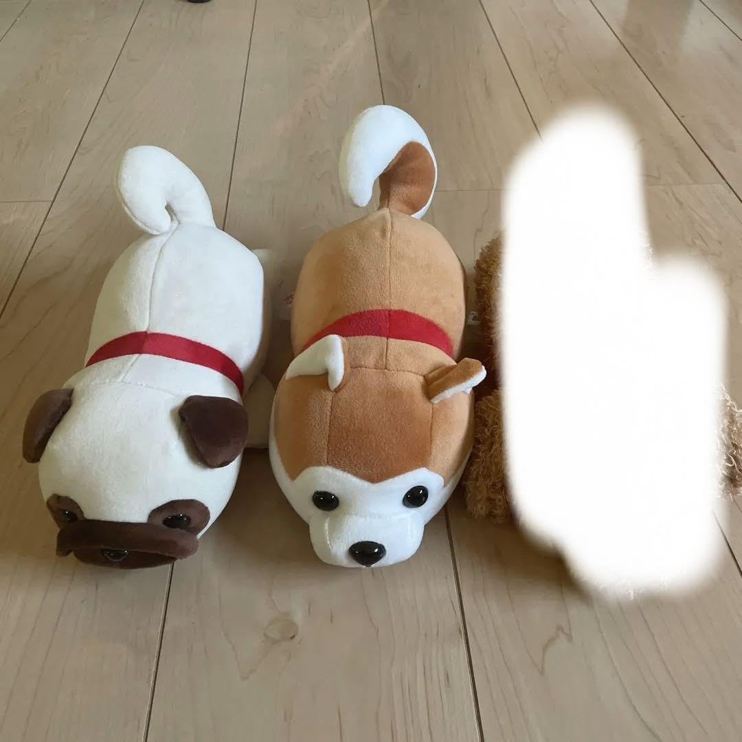 Amazon.co.jp: 安立屋 ぬいぐるみ パグ ハッピー秋田犬 2点セット