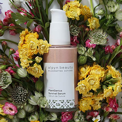 Alpyn Beauty Bearberry + Vitamin C Glow Serum Clean, Wildcrafted