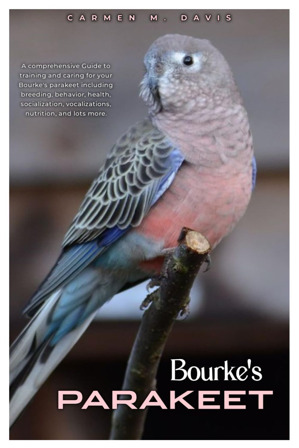 BOURKE'S PARAKEET: A comprehensive guide to training and caring for your Bourke's parakeet including breeding, behavior, health, socialization, vocalizations, nutrition, and lots more.