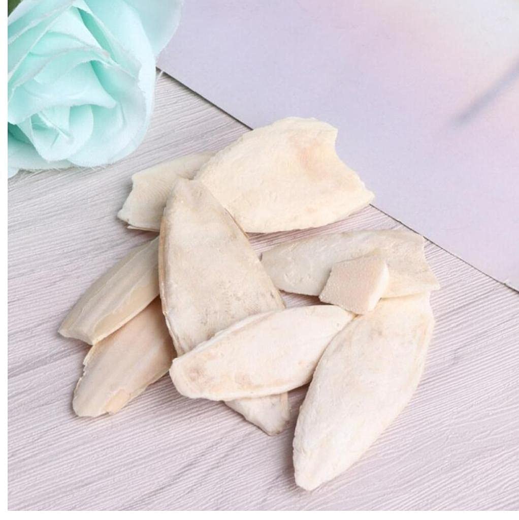 1 Bag Bird Desalting Cuttlebone Toy Cuttlefish Sepia Bone Training Chew Molar Toy for Parrot
