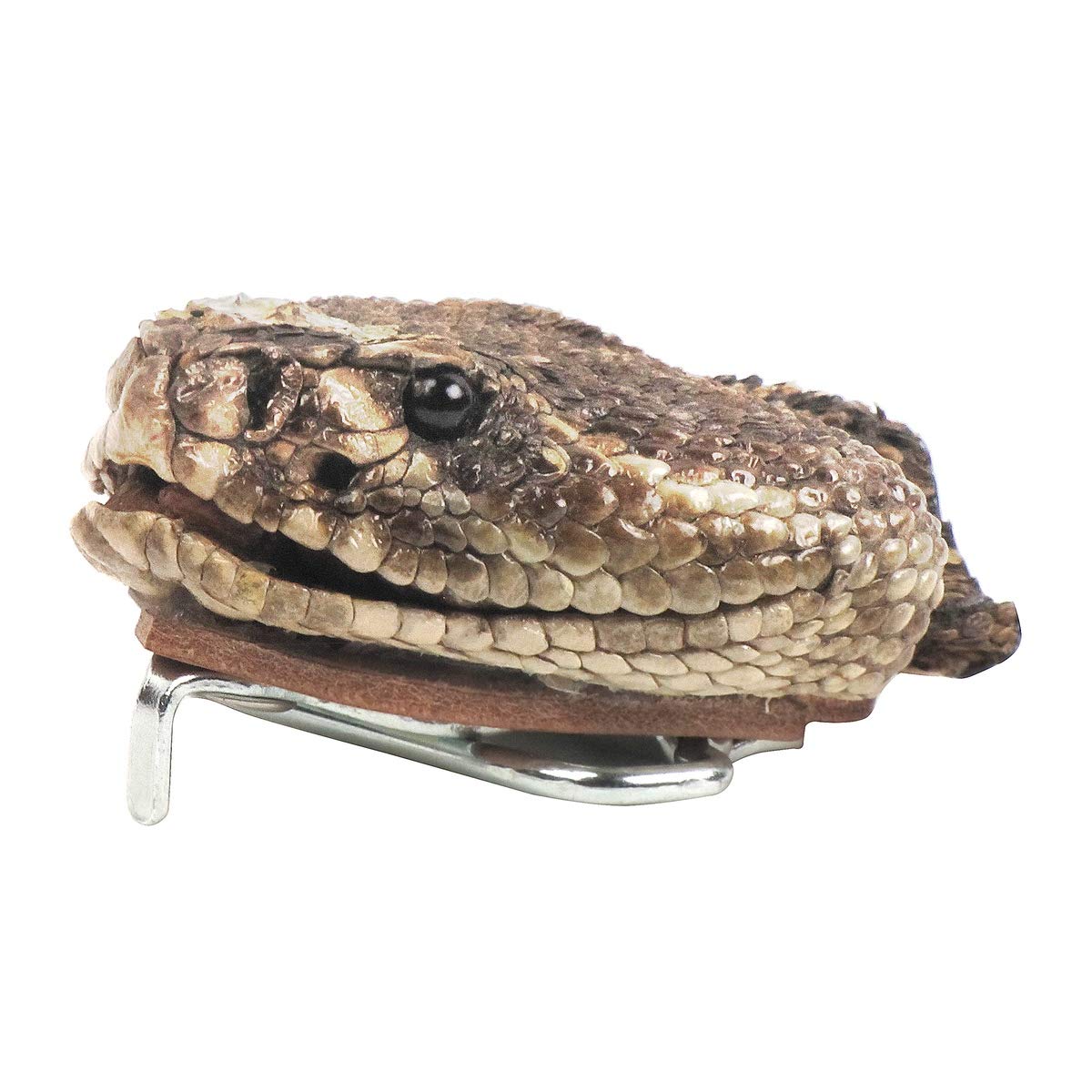Genuine Taxidermy Real Rattlesnake Full Head Belt Buckle Snake Skin Clothing Accessory