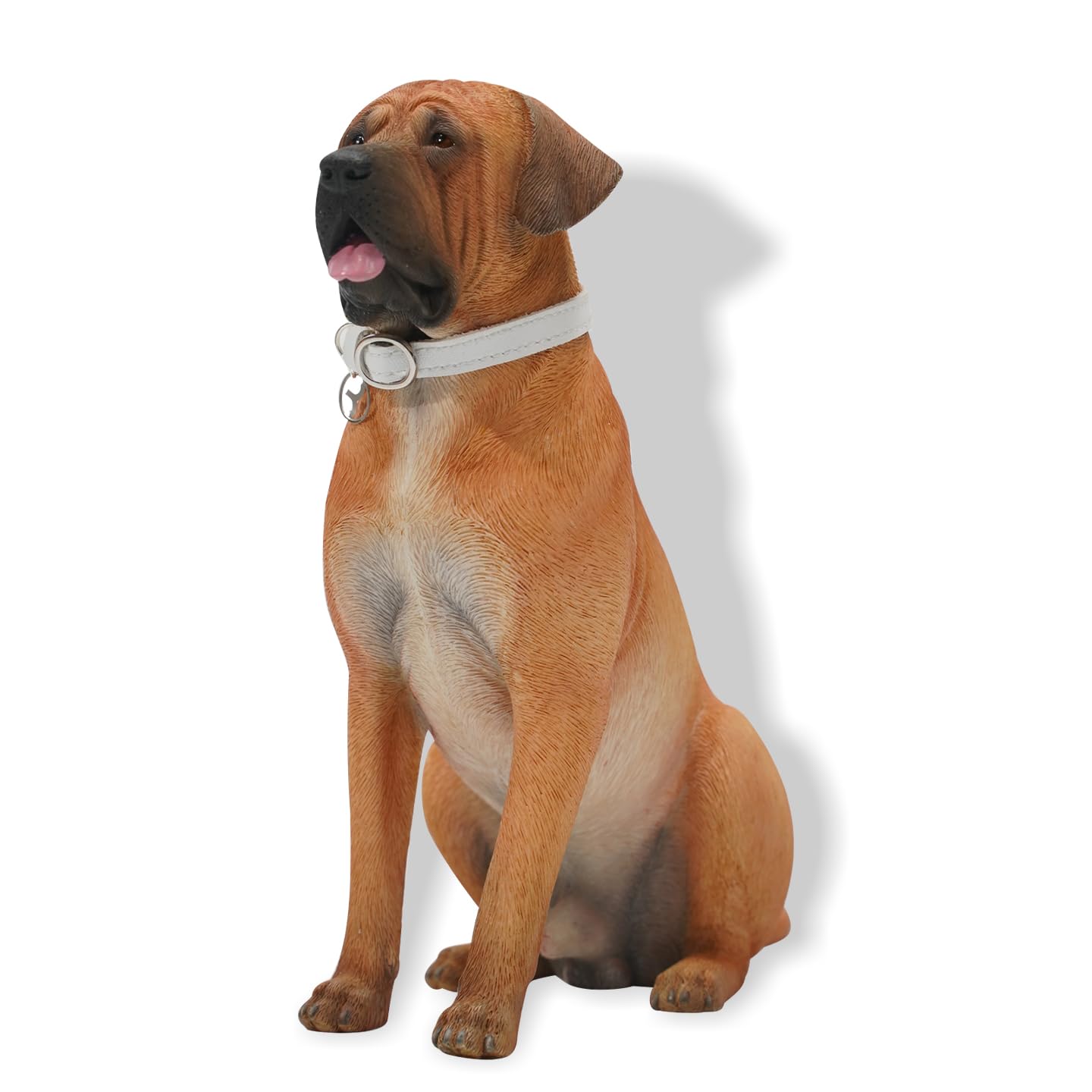 Amazon.co.jp: JXK座った日本土佐犬 複雑な模様ディテール 愛犬の人へ