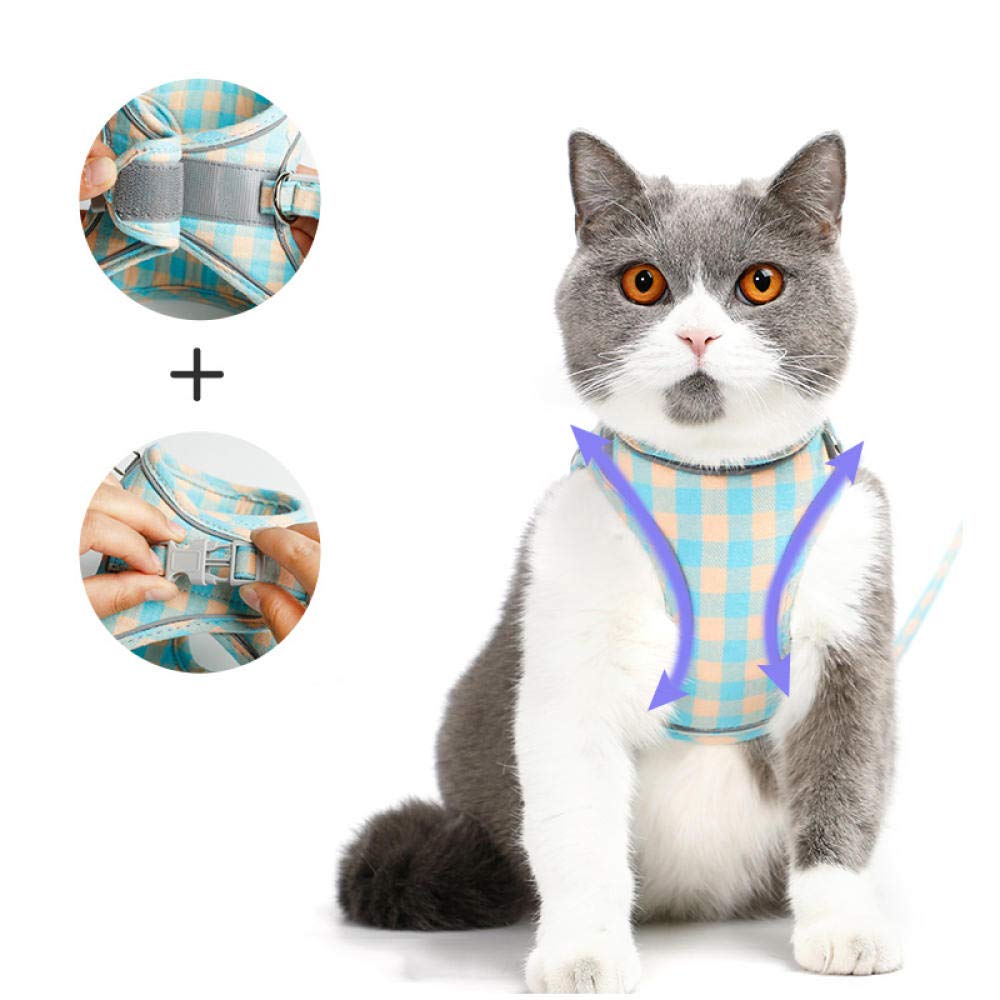 Correa para Mascotas, Chaleco Violeta, Collar Ajustable para Cachorros y Gatos, Juego de Correa para pasear, arneses, Collar para Perros pequeños, Talla M (XXL)