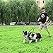 PetsAlly Dual Dog Leash Includes Bungee Coupler, Soft Padded Handle & Training Ebooks - Premium Quality - Tangle Free Double Dog Walker for Two Dogs - Ideal for Medium to Large Dogs …