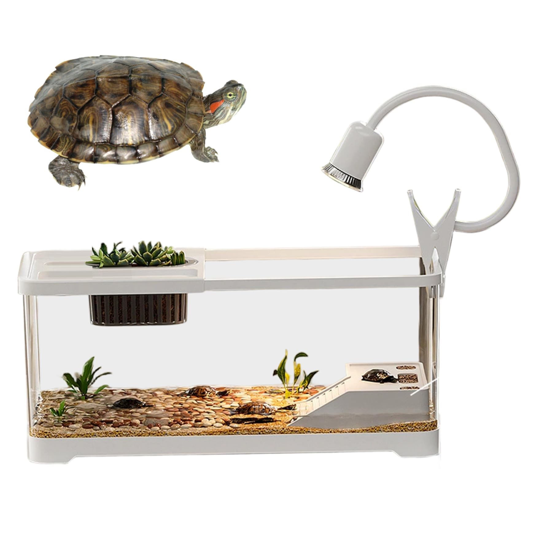 Acuario de Tortugas, pecera de plástico Transparente de 15 x 8 x 8 Pulgadas, Kit de hábitat para Tanque de Tortugas con Plataformas de Escalada y luz para y Animales acuáticos