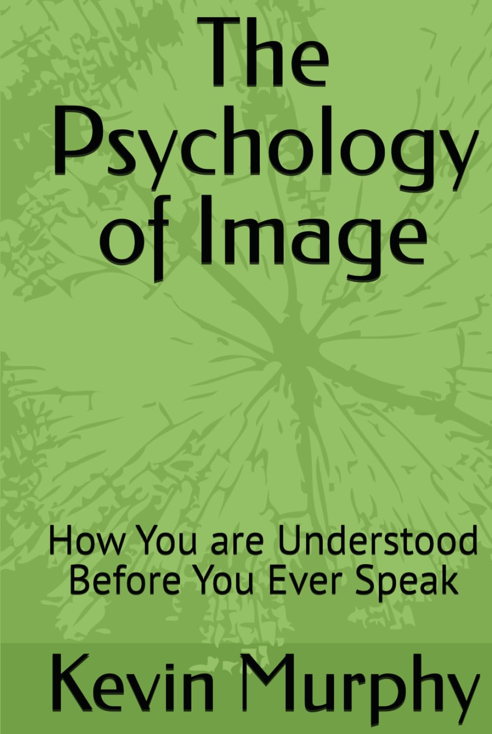 The Psychology of Image: How You are Understood Before You Ever Speak