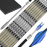 TENPOINT PRO ELITE カーボン矢 ＆ アルミ矢 まとめ売り TENPOINT PRO ELITE カーボン矢 ＆ アルミ矢 まとめ売り