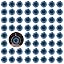 Needle Chrysanthemum-blue