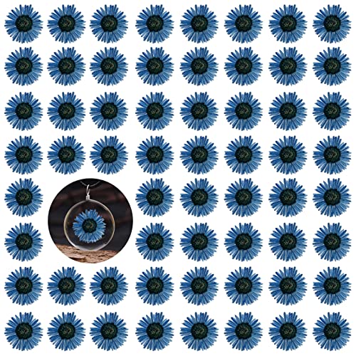 Flores Secas Presionadas Azules para Resina 60 Piezas miniatura 1