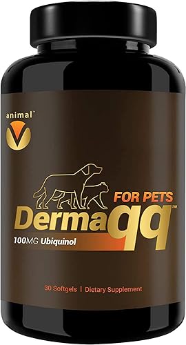 Dermaqq - Ubiquinol de alta absorción (QH) - CoQ10 para puntos calientes de perros y gatos, pérdida de cabello, apoyo para la dermatitis para