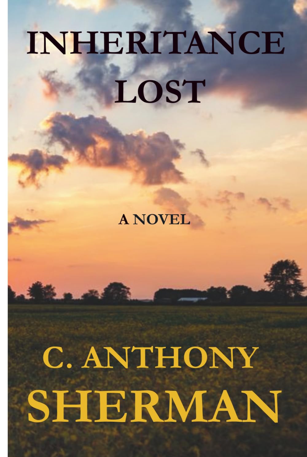 INHERITANCE LOST (THE INHERITANCE SERIES)