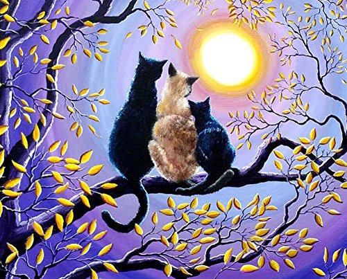 5D DIY Diamond Painting Full Drill, Diamond Paint by Numbers for Adults, Moon Cats, Perfect Gift for Families Friends, Cross Stitch DIY Craft - 12 x 16 inch …
