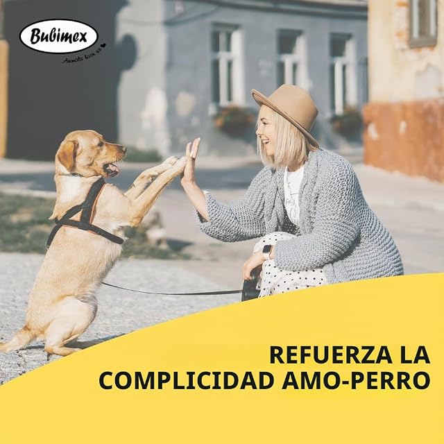 Foto 5 de 6 de Bubimex - Galletas Smiley para Perro - Galletas de Recompensa Ideales para Entrenamiento