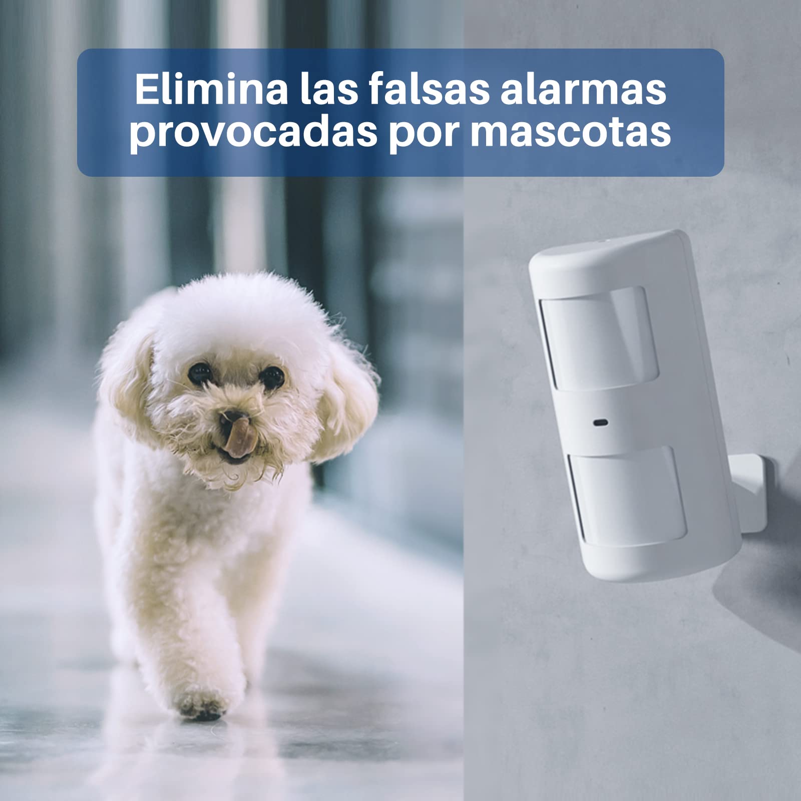 Detector de movimiento - Alarma inalámbrica para el hogar con Mermaid inteligente WiFi / 4G