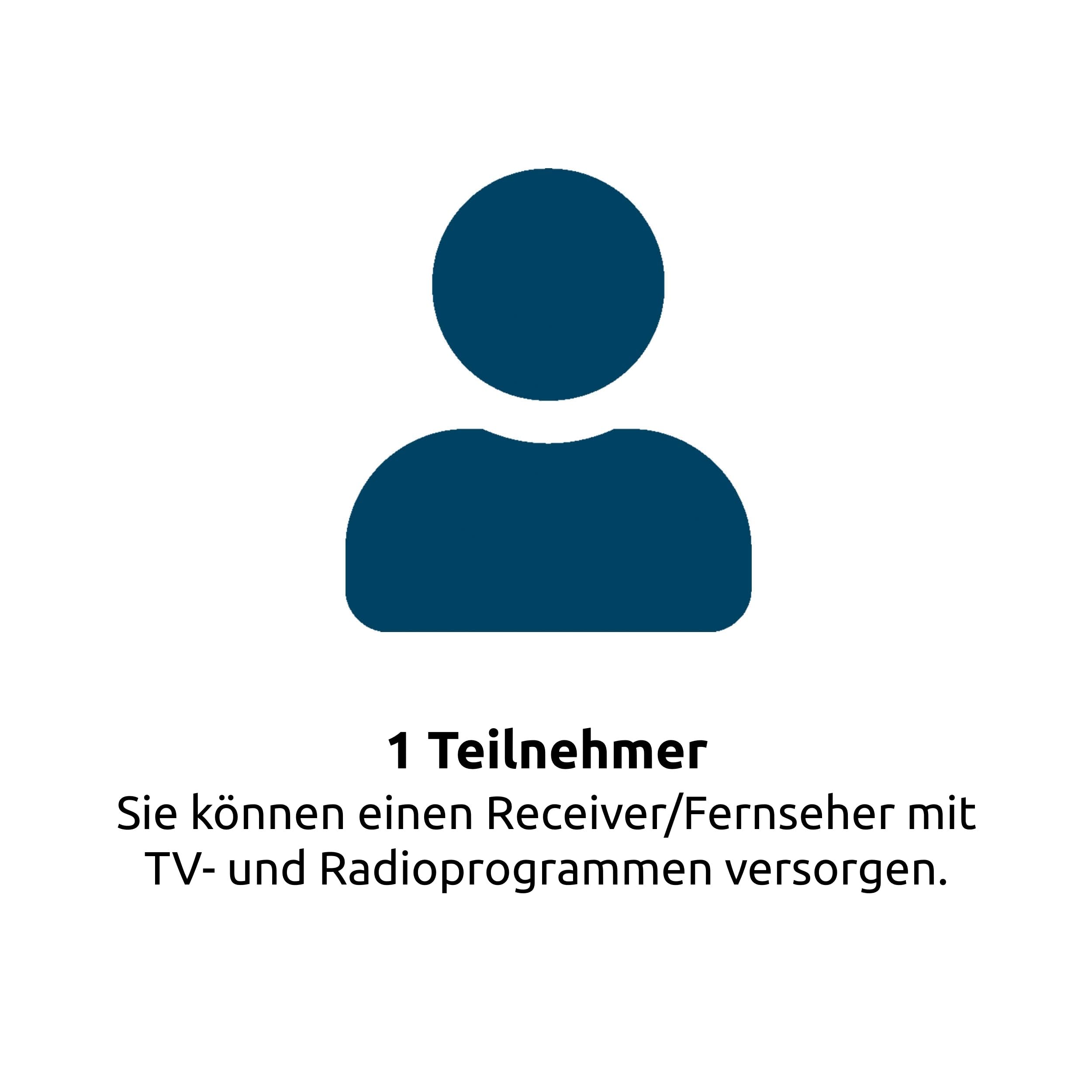 TechniSat DIGIDISH 33 Satelliten-Schüssel 33 cm Komplettset mit Wandhalterung und Satfinder V/H-LNB grau