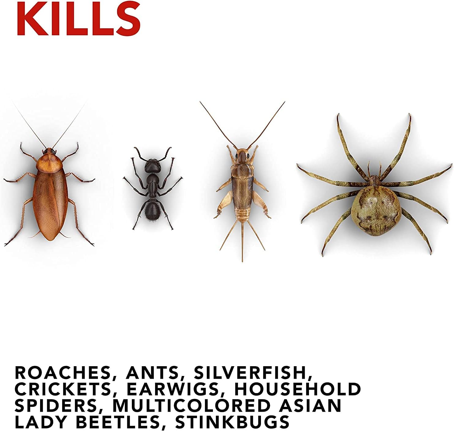 Raid Ant & Roach Killer Lemon Scent, 17.5 Ounce (Pack of 1)