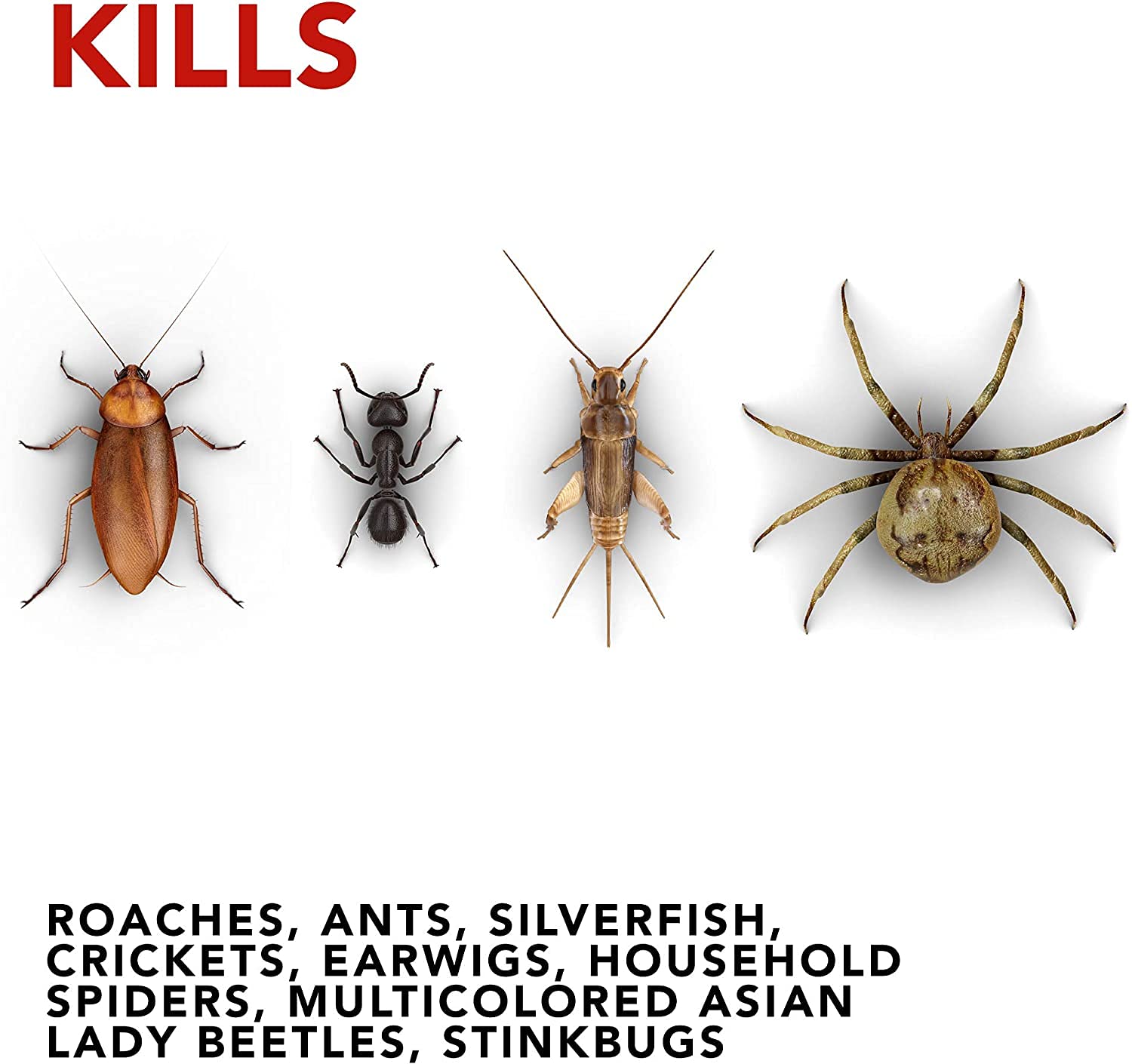 Raid Ant and Roach Killer Fragrance Free 1.09 Pound (Pack of 2)