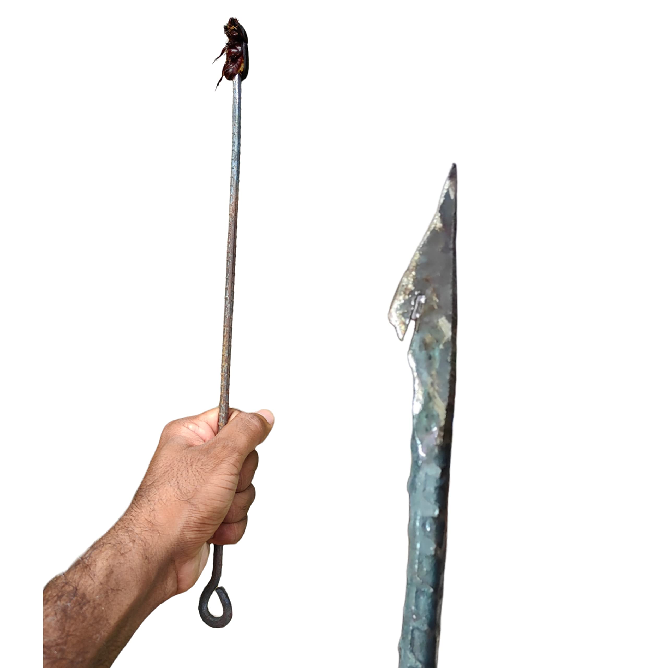 RAHBAN Rhinoceros Beetle Catching Hook - Manual Method to Kill Beetle in Coconut Plants - (Pack of 2) (B0BGNHNDM8) Amazon Price History, Amazon Price Tracker