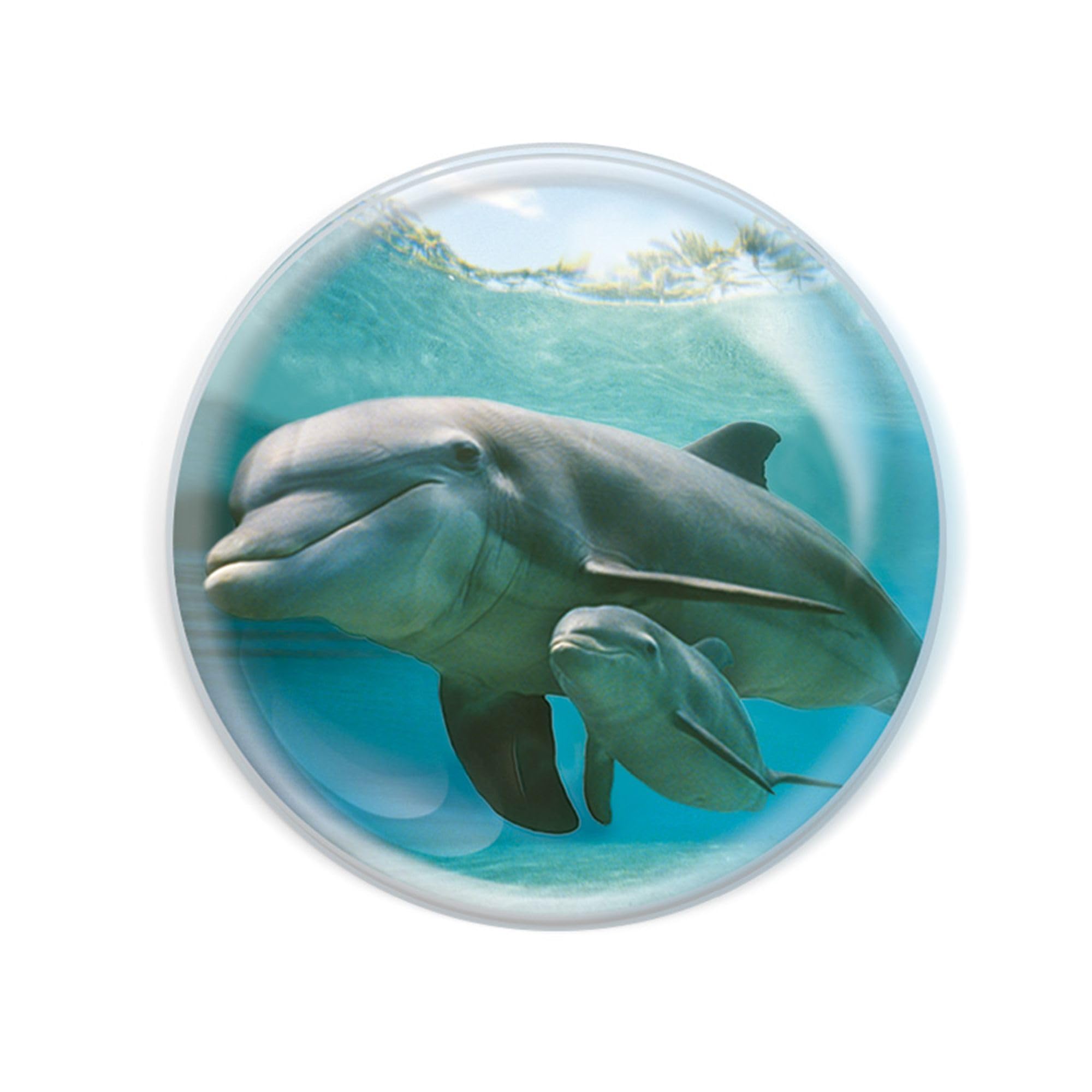 Deluxebase Magnidome Dolphin Fridge Magnet. Crystal Glass Dome Animal Magnet, Strong Decorative Magnet for Kitchen Accessories, Novelty Gifts and Cute Office and Home Decor.
