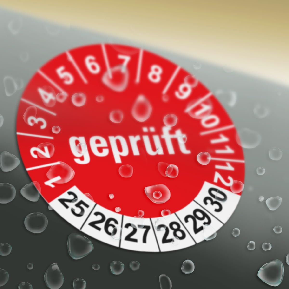 Hochwertige Prüfetiketten GEPRÜFT Ø 30mm - Selbstklebende PVC-Folie - Wartungsetiketten für Prüfung - Prüfplakette für Prüfungsnachweis (250 Stück)