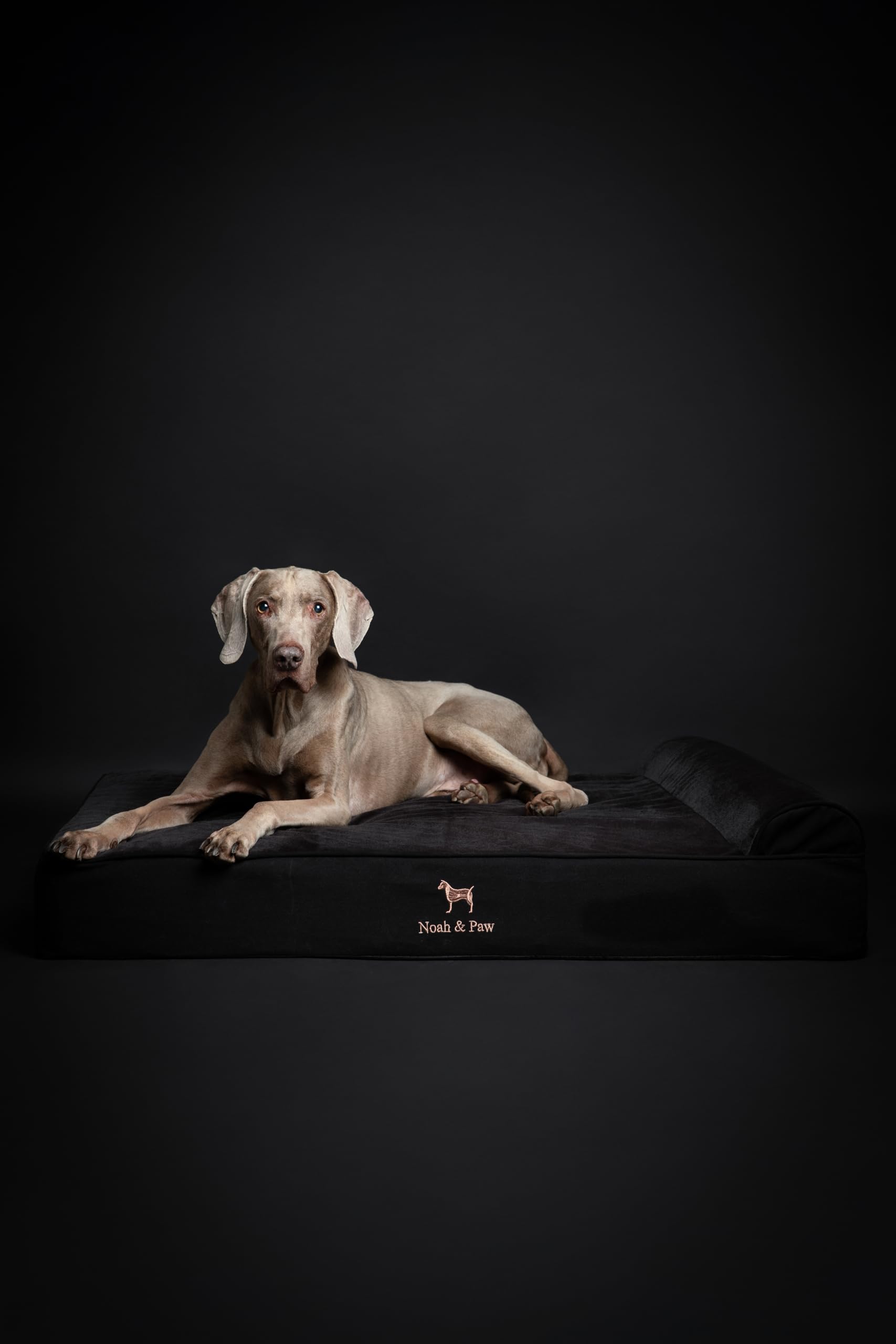 NOAH & PAW XL Dog Bed, 45x35x9.1 Inch, Orthopedic Large Dog Beds, Eggshell Memory Foam Infused with Cooling Gel, Waterproof, Machine Washable, Includes Inner Cover (Denim Collection) - image 6