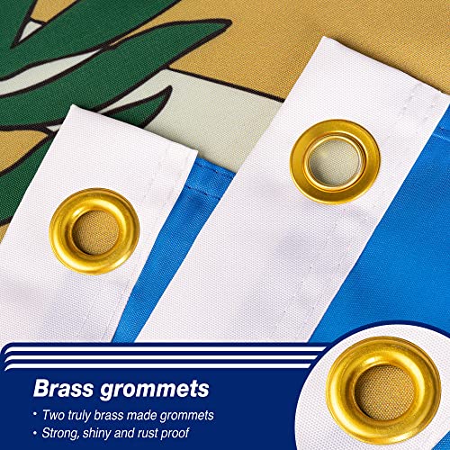 Xifan Double Sided Oklahoma State Flag 3X5 Ft, Heavy Duty 3 Ply Durable Polyester, Ok Flag With Vibrant Print/4 Rows Hemming/Brass Grommets For Indoor Outdoor Decor #TOP3