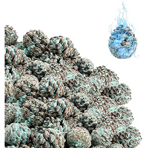 80 Pcs Flame Color Changing Pine Cones- Burning Fireplace Pinecones with Magical Blue-Green Flames for Fireplace Holidays Fire Pit Wood Stove Campfire Color Changing Cover