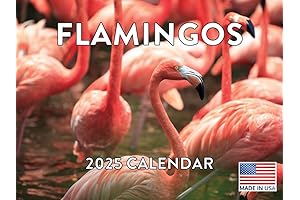 Bestseller Flamingo Calendar 2021