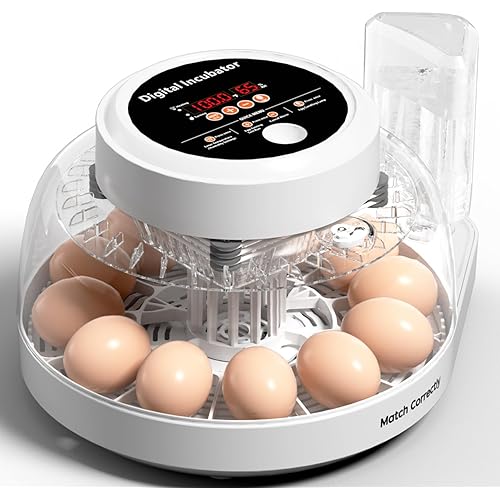 Incubators for Hatching Eggs, Egg Incubator with Automatic Egg Turning, Temperature Control and Humidity Display, Egg Candler, Incubators for Chicken Eggs, Duck, Quail - 12 Eggs