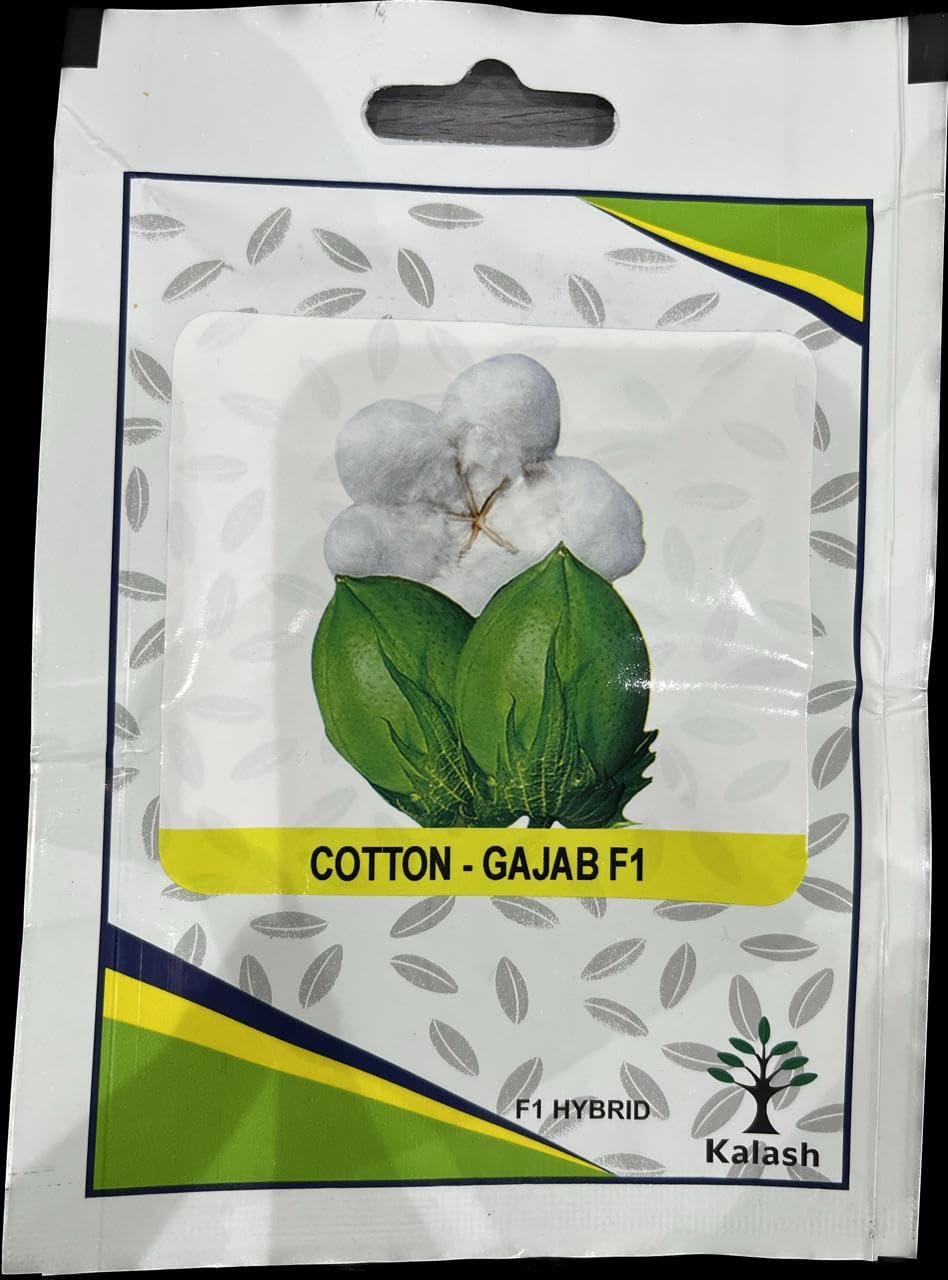 Cotton Gajab F1 Hybrid Premium Quality Seeds (Made in India) by Kalash Seeds Pvt. Ltd.