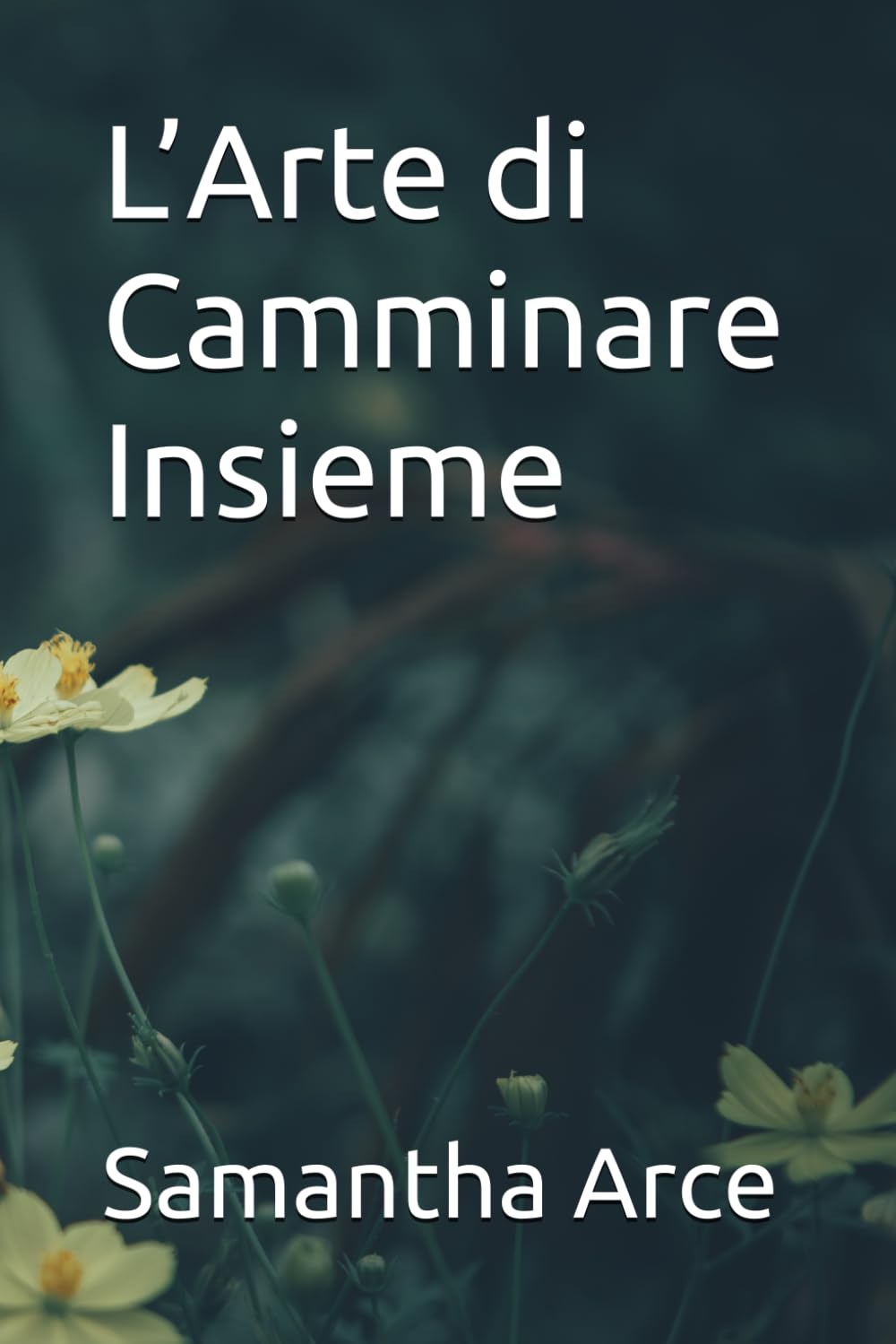 L’Arte di Camminare Insieme