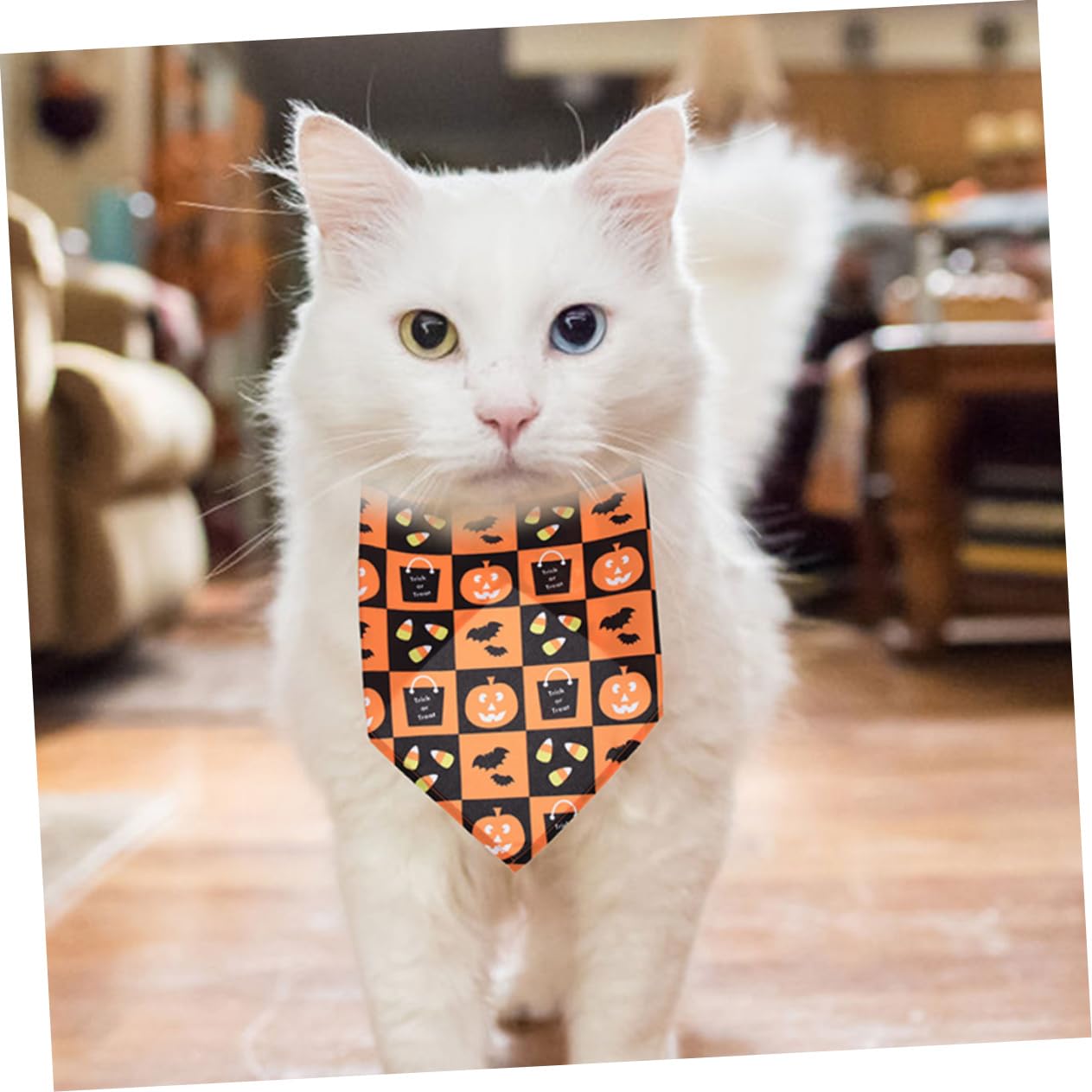 BESPORTBLE 10 PCS Pet Triangolo Asciugamano Vacanza Bandane per Cani Halloween Pet Sciarpa Halloween Cane Triangolo Sciarpa Bavaglini Silenziatore Sciarpa del Cane
