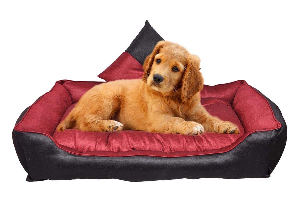 slatters be royal store Reversible Dual Ultra Soft Velvet ‎‎Maroon Black Color Luxury Sofa Bed PET Bed | Dog Bed | CAT Bed | Puppies Puppy Bed | Rabbit Bed (B0B6CXFFVM) Amazon Price History, Amazon Price Tracker